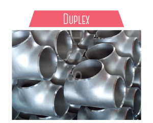 duplex-01